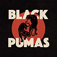 Los mejores  - Black Pumas [Vinilo]